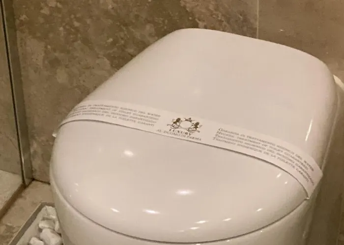 Luxury 1 Al Duomo Di * Parma